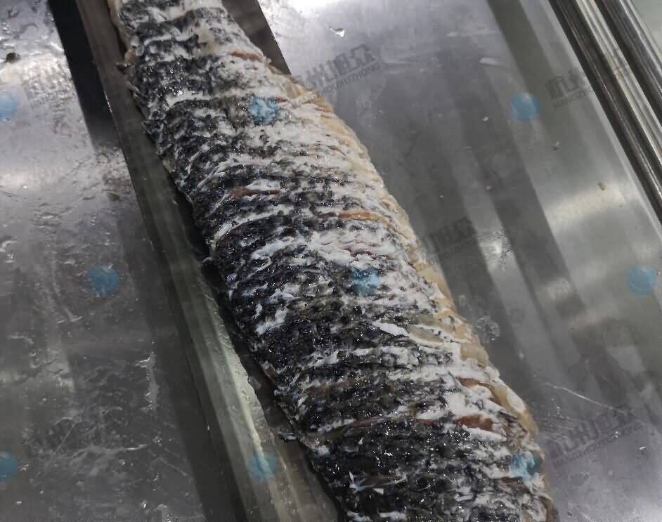 5dc0d9bf0a88c.jpg 5dc0d9bf0a88c.jpg