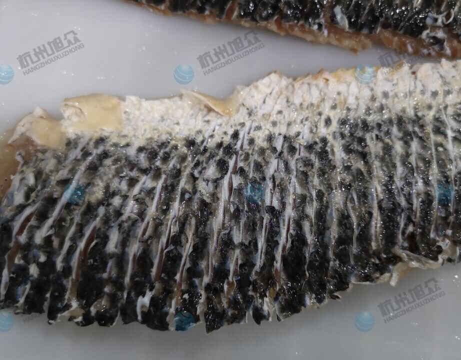 5dc0da7aa507e.jpg 5dc0da7aa507e.jpg